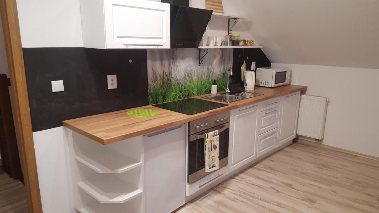 Apartamenty - Pod Wierzbami Dwikozy Eksteriør bilde